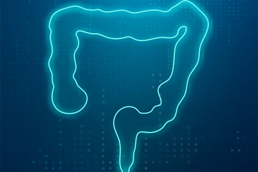 Zdrowe jelita - klucz do Twojego zdrowia