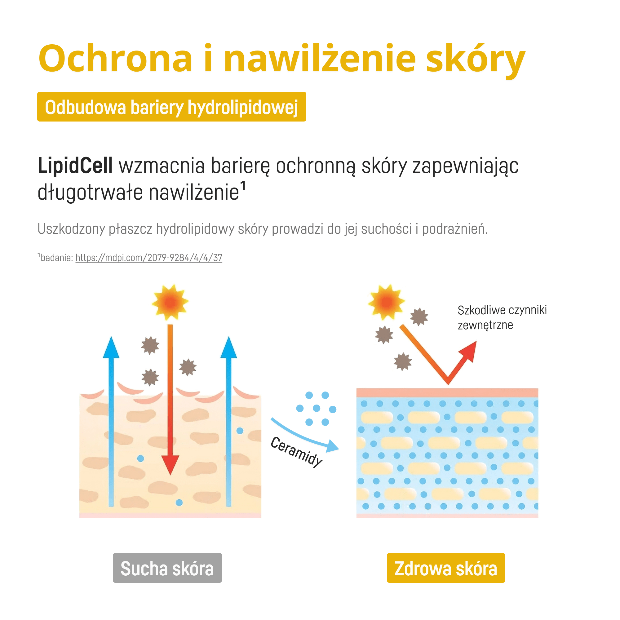 Właściwości ochronne i nawilżające LipidCell